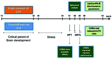 Graphical abstract: Can coconut oil and treadmill exercise during the critical period of brain development ameliorate stress-related effects on anxiety-like behavior and episodic-like memory in young rats?