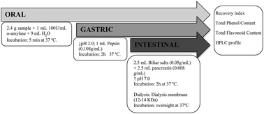 Graphical abstract: Evaluation of protective effect of different dietary fibers on polyphenolic profile stability of maqui berry (Aristotelia chilensis (Molina) Stuntz) during in vitro gastrointestinal digestion