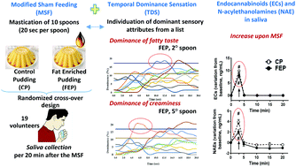 Graphical abstract: Salivary endocannabinoids and N-acylethanolamines upon mastication of a semisolid food: implications in fat taste, appetite and food liking