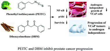 Graphical abstract: Phenethyl isothiocyanate in combination with dibenzoylmethane inhibits the androgen-independent growth of prostate cancer cells