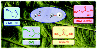 Graphical abstract: Biomass-derived solvents as effective media for cross-coupling reactions and C–H functionalization processes