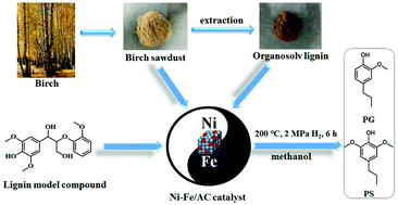 Graphical abstract: Depolymerization of lignin via a non-precious Ni–Fe alloy catalyst supported on activated carbon