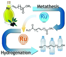 Graphical abstract: Long-chain α–ω diols from renewable fatty acids via tandem olefin metathesis–ester hydrogenation