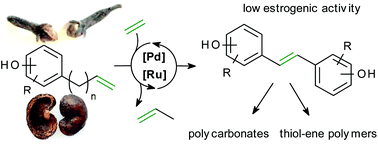 Graphical abstract: Synthesis of potential bisphenol A substitutes by isomerising metathesis of renewable raw materials