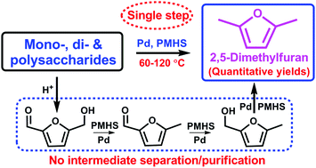 Graphical abstract: A Pd-Catalyzed in situ domino process for mild and quantitative production of 2,5-dimethylfuran directly from carbohydrates