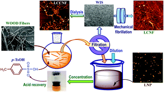 Graphical abstract: Producing wood-based nanomaterials by rapid fractionation of wood at 80 °C using a recyclable acid hydrotrope