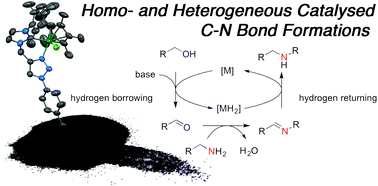 Graphical abstract: Iridium(iii) homo- and heterogeneous catalysed hydrogen borrowing C–N bond formation