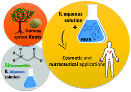 Graphical abstract: Enhanced extraction and biological activity of 7-hydroxymatairesinol obtained from Norway spruce knots using aqueous solutions of ionic liquids