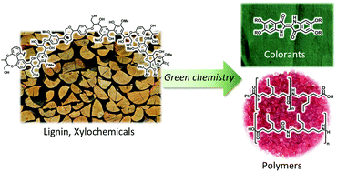 Graphical abstract: Examples of xylochemistry: colorants and polymers