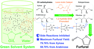 Graphical abstract: Conversion of C5 carbohydrates into furfural catalyzed by a Lewis acidic ionic liquid in renewable γ-valerolactone