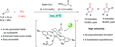 Graphical abstract: Activation of (salen)CoI complex by phosphorane for carbon dioxide transformation at ambient temperature and pressure