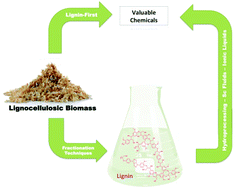 Graphical abstract: Lignin transformations for high value applications: towards targeted modifications using green chemistry