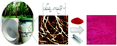 Graphical abstract: Environmentally sound textile dyeing technology with nanofibrillated cellulose