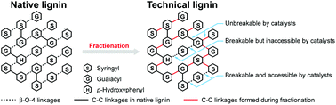 Graphical abstract: Towards high-yield lignin monomer production