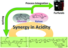 Graphical abstract: One-pot integrated processing of biopolymers to furfurals in molten salt hydrate: understanding synergy in acidity