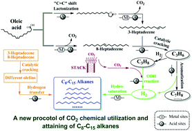 Graphical abstract: Insight into forced hydrogen re-arrangement and altered reaction pathways in a protocol for CO2 catalytic processing of oleic acid into C8–C15 alkanes