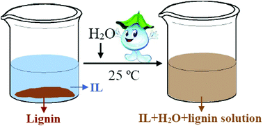 Graphical abstract: Efficient and sustainable solvents for lignin dissolution: aqueous choline carboxylate solutions