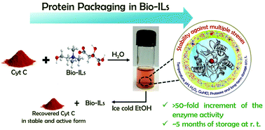 Graphical abstract: Long-term protein packaging in cholinium-based ionic liquids: improved catalytic activity and enhanced stability of cytochrome c against multiple stresses