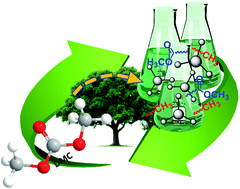 Graphical abstract: Dimethyl carbonate: a versatile reagent for a sustainable valorization of renewables