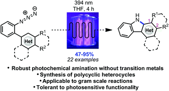 Graphical abstract: Photochemical intramolecular amination for the synthesis of heterocycles