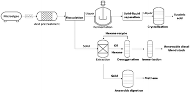 Graphical abstract: Demonstration of parallel algal processing: production of renewable diesel blendstock and a high-value chemical intermediate