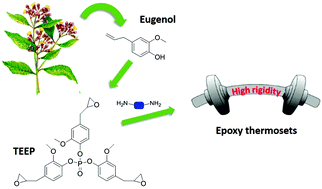 Graphical abstract: Eugenol bio-based epoxy thermosets: from cloves to applied materials