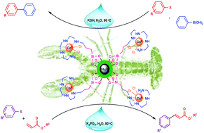 Graphical abstract: Fe3O4@Boehmite-NH2-CoII NPs: an inexpensive and highly efficient heterogeneous magnetic nanocatalyst for the Suzuki–Miyaura and Heck–Mizoroki cross-coupling reactions