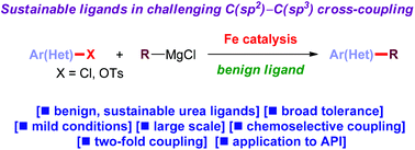 Graphical abstract: Cyclic ureas (DMI, DMPU) as efficient, sustainable ligands in iron-catalyzed C(sp2)–C(sp3) coupling of aryl chlorides and tosylates