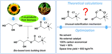 Graphical abstract: Elucidation of the role of betaine hydrochloride in glycerol esterification: towards bio-based ionic building blocks