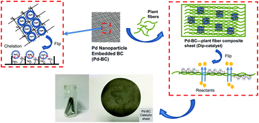 Graphical abstract: A highly recyclable dip-catalyst produced from palladium nanoparticle-embedded bacterial cellulose and plant fibers