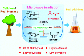 Graphical abstract: Facile and high-yield synthesis of methyl levulinate from cellulose