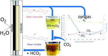 Graphical abstract: Electrochemical production of syngas from CO2 captured in switchable polarity solvents