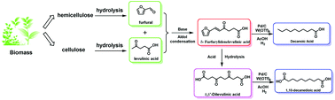 Graphical abstract: Synthesis of medium-chain carboxylic acids or α,ω-dicarboxylic acids from cellulose-derived platform chemicals