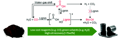 Graphical abstract: Elucidating transfer hydrogenation mechanisms in non-catalytic lignin depolymerization