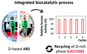 Graphical abstract: An integrated process for enzymatic catalysis allowing product recovery and enzyme reuse by applying thermoreversible aqueous biphasic systems