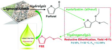 Graphical abstract: Facile synthesis of furfuryl ethyl ether in high yield via the reductive etherification of furfural in ethanol over Pd/C under mild conditions