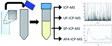 Graphical abstract: An ICP-MS-based platform for release studies on silver-based nanomaterials