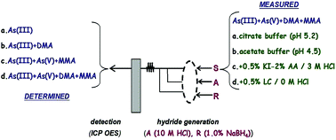 Graphical abstract: Potential of the hydride generation technique coupled to inductively coupled plasma optical emission spectrometry for non-chromatographic As speciation