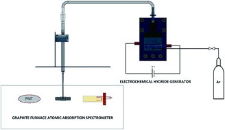 Graphical abstract: Ultra-trace determination of thallium by electrochemical hydride generation using efficient tungsten electrodes followed by in situ trapping on a graphite tube and detection by electrothermal atomic absorption spectrometry