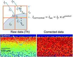Graphical abstract: A beam path-based method for attenuation correction of confocal micro-X-ray fluorescence imaging data