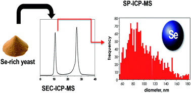 Graphical abstract: Detection and characterization of biogenic selenium nanoparticles in selenium-rich yeast by single particle ICPMS
