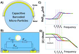 Graphical abstract: Top-down fabrication meets bottom-up synthesis for nanoelectronic barcoding of microparticles