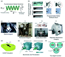 Graphical abstract: Mobile microrobots for bioengineering applications