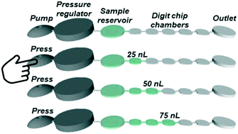 Graphical abstract: Power-free, digital and programmable dispensing of picoliter droplets using a Digit Chip