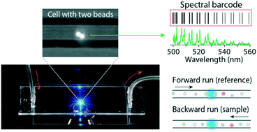 Graphical abstract: Spectral reading of optical resonance-encoded cells in microfluidics
