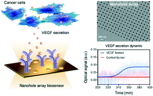 Graphical abstract: Plasmonic nanohole array biosensor for label-free and real-time analysis of live cell secretion