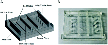 Graphical abstract: Hybrid polymer microfluidic platform to mimic varying vascular compliance and topology