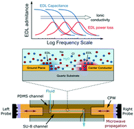 Graphical abstract: Modeling electrical double-layer effects for microfluidic impedance spectroscopy from 100 kHz to 110 GHz