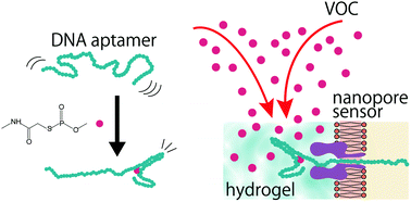 Graphical abstract: Pesticide vapor sensing using an aptamer, nanopore, and agarose gel on a chip