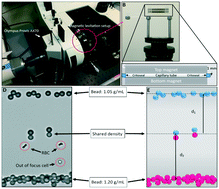 Graphical abstract: Detection of membrane-bound and soluble antigens by magnetic levitation
